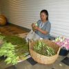 P1050068 Preparation of flower arrangements at our hotel