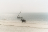 04-horses-and-riders-on-nyali-beach