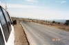 25-zebra-crossing-near-nakuru